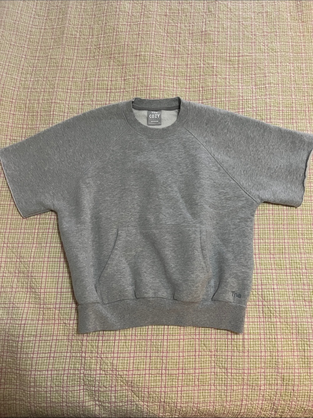 Aritzia TNA short sleeve crewneck sweatshirt